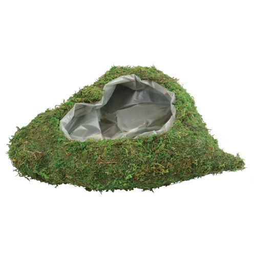 Floristik24 Plantehjerte mosgrøn planteskål hjerte 26×30×8cm