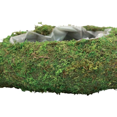 Floristik24 Plantehjerte mosgrøn planteskål hjerte 26×30×8cm