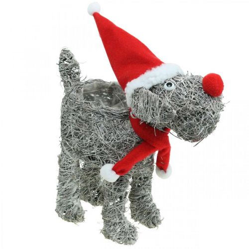 Artikel Hund til udplantning, juledekoration, plantekurv, advent H30cm L29,5cm