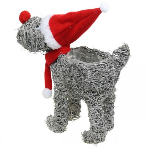 Artikel Hund til udplantning, juledekoration, plantekurv, advent H30cm L29,5cm
