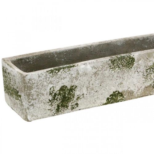 Floristik24 Plantekasse beton antik look Rektangulær blomsterkasse 40×8×7cm