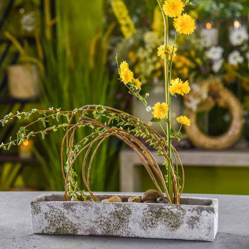 Floristik24 Plantekasse beton antik look Rektangulær blomsterkasse 40×8×7cm