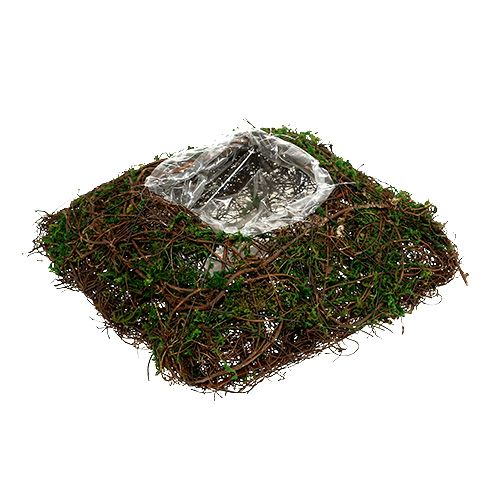 Floristik24 Plantepudevin, mos 22cm x 22cm H7,5cm