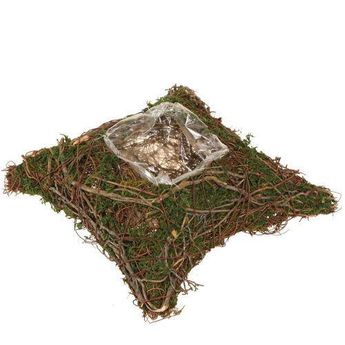 Plantepude med slyngplanter, mos, planteskål, naturlig 20×20×6,5 cm