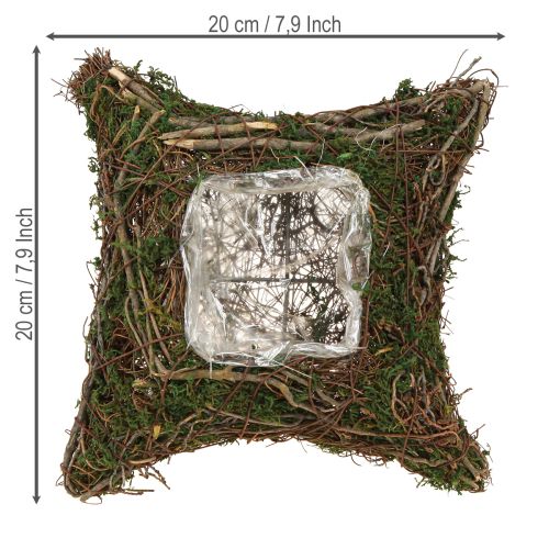 Artikel Plantepude med slyngplanter, mos, planteskål, naturlig 20×20×6,5 cm