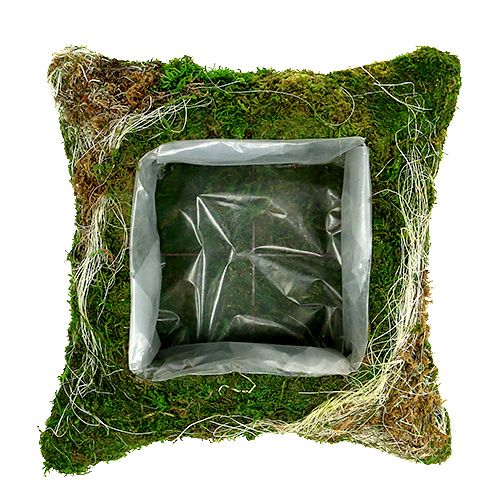 Floristik24 Plantehynde mos 25cm x 25cm 2stk