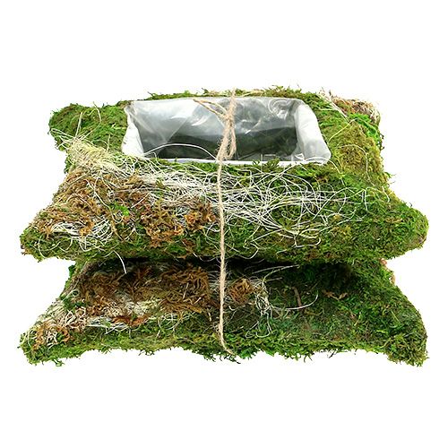 Floristik24 Plantehynde mos 25cm x 25cm 2stk