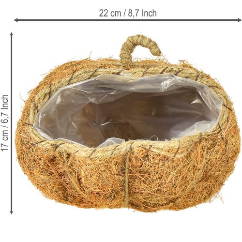Artikel Plantekurv græskar efterårsdekoration orange Ø22cm H17cm