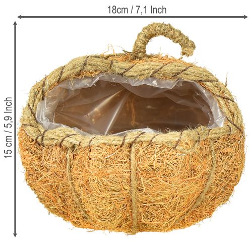 Artikel Plantekurv græskar med folie efterårsdekoration orange Ø18cm H15cm