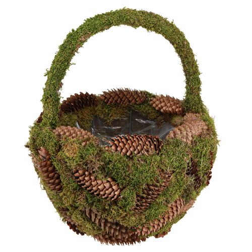 Floristik24 Plantekurv mos grankogler kurv med hank Ø32cm H42cm