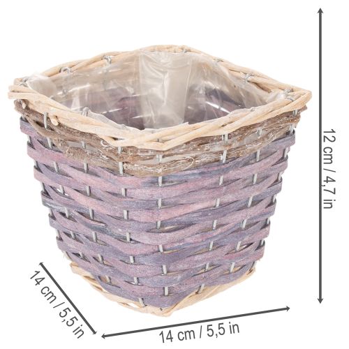  | Floristik24.dk