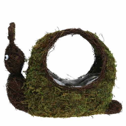 Floristik24 Plantekurv snegl mos brun 29x13cm H23cm