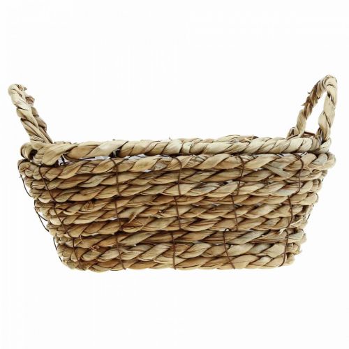 Floristik24 Plantekurv søgræskurv med hanke oval dekoration 23×13×9cm