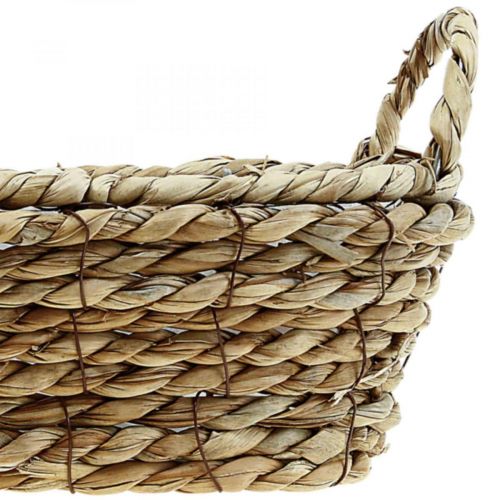 Floristik24 Plantekurv søgræskurv med hanke oval dekoration 23×13×9cm