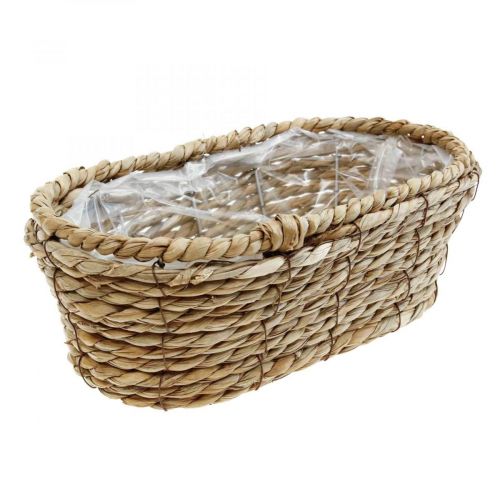 Plantekurv søgræskurv oval dekorativ kurv 28×15×10cm