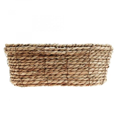 Floristik24 Plantekurv søgræskurv oval dekorativ kurv 32×19×12cm