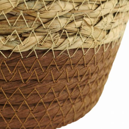 Floristik24 Plantekurv planter søgræs kurv deco natur Ø19cm H16cm