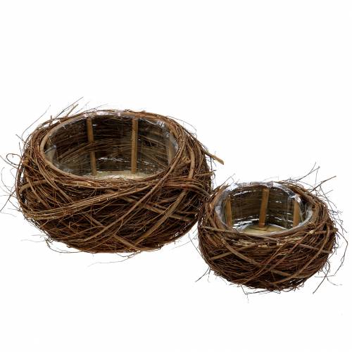 Floristik24 Plantekurv vinstokke og kviste natur Ø37 / 28cm, sæt med 2