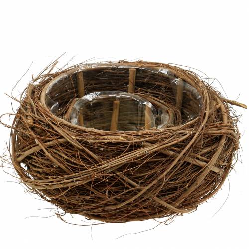 Floristik24 Plantekurv vinstokke og kviste natur Ø37 / 28cm, sæt med 2