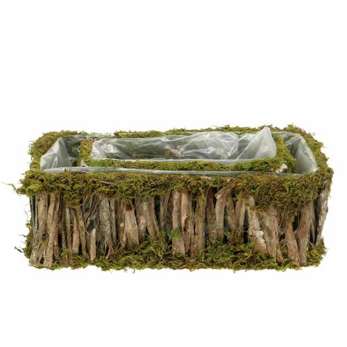 Floristik24 Plantekurvevinkelmose, bark 34 × 15,5 / 24,5 × 11 cm, sæt med 2