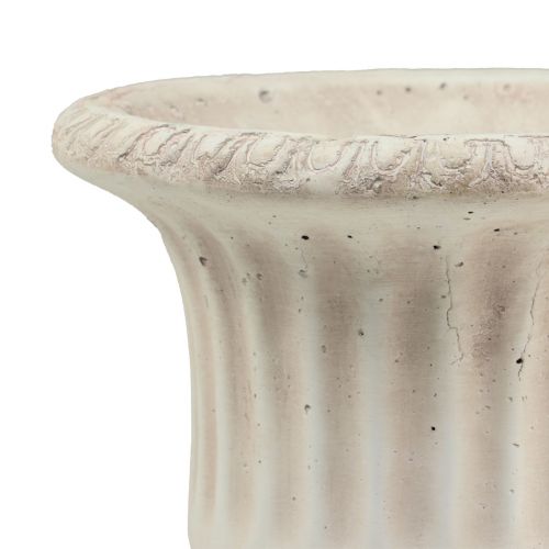Floristik24 Plantekrukke trofæ beton dekorativ urtepotte antik Ø19cm H24cm
