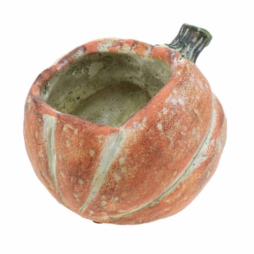 Floristik24 Græskar til plantning Orange 19×15×16cm