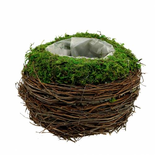 Artikel Planteskål rattan, mos Ø16cm H11cm