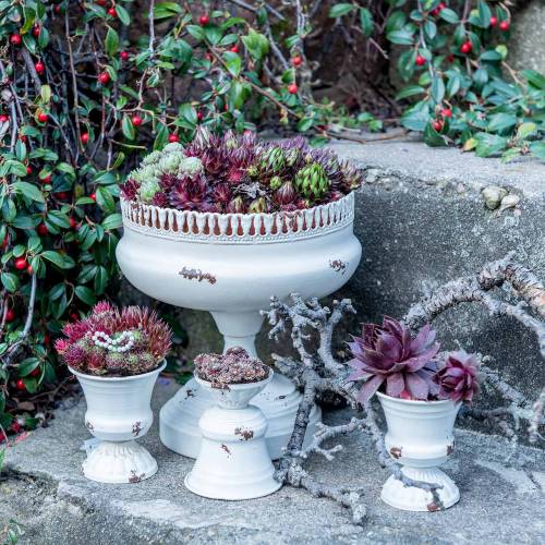 Floristik24 Plantekop Kalk Antik Creme Ø20cm H20cm 1 stk