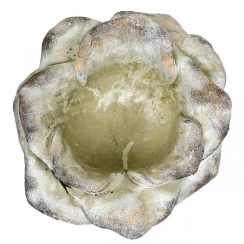 Floristik24 Rosenblomst til plantning, begravelsesblomster, stenrosa, betondekoration grå, abrikos, violet Ø11cm L22cm H9cm