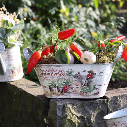 Artikel Metal plantekasse oval Fresh Garden 34,5x14x15,5cm