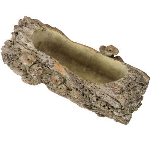 Plantekasse af støbt stentræstamme med svampe 36×18×12,5 cm