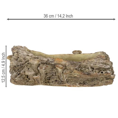 Artikel Plantekasse af støbt stentræstamme med svampe 36×18×12,5 cm