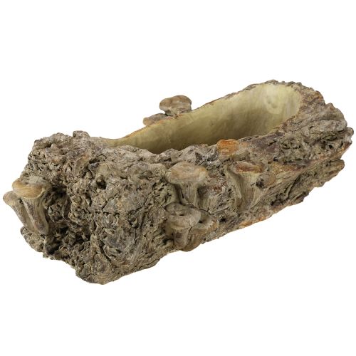 Artikel Plantekasse af støbt stentræstamme med svampe 36×18×12,5 cm