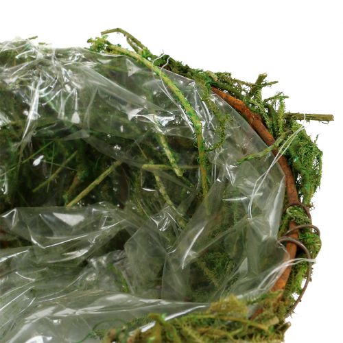 Floristik24 Planteskål med mos Ø16cm H9cm - 10cm grøn 3stk