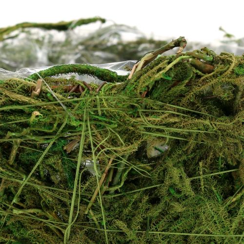 Floristik24 Planteskål med mos Ø16cm H9cm - 10cm grøn 3stk