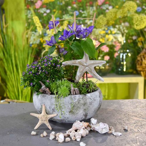 Floristik24 Planteskål antik look blomsterskål patina Ø32cm H14cm