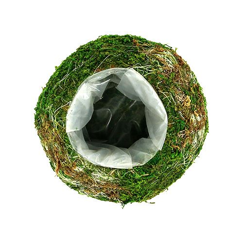 Floristik24 Planteskål mosskål Ø18cm 2stk