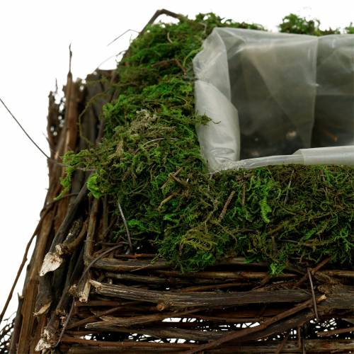 Artikel Plantepude rattan, mos 20cm x 20cm H8cm