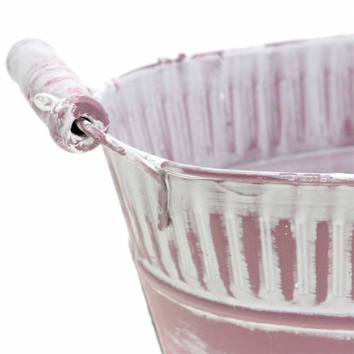 Floristik24 Planteskål oval lilla hvidvasket 28cm x 17cm H12cm