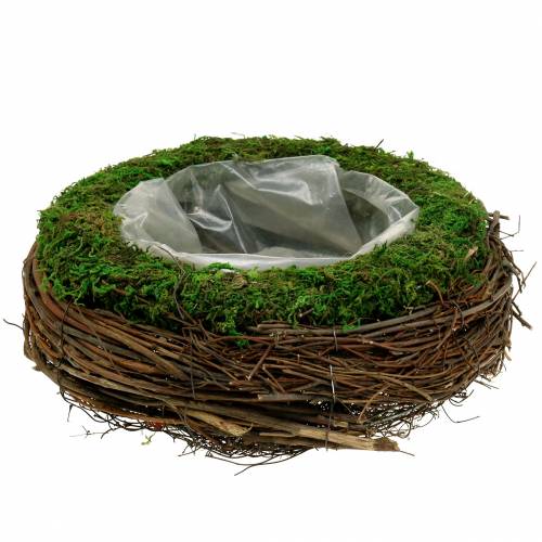 Floristik24 Planteskål rattan, mos Ø26cm H9cm