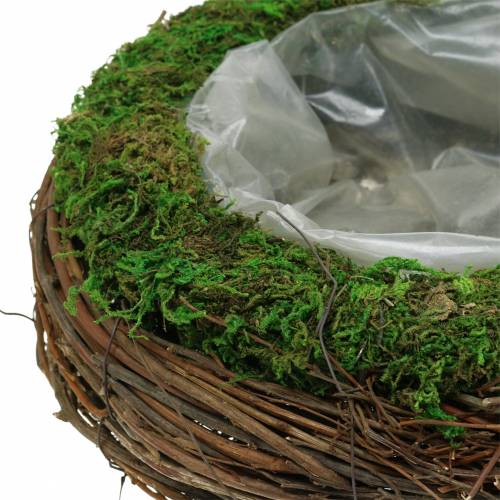 Floristik24 Planteskål rattan, mos Ø26cm H9cm