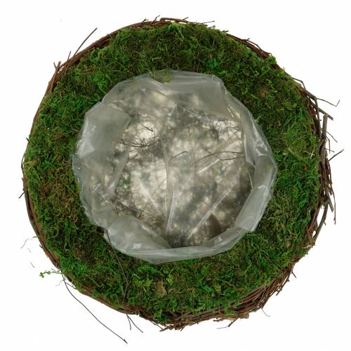 Floristik24 Planteskål rattan, mos Ø26cm H9cm