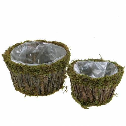 Floristik24 Planteskål mos/bark rund Ø15/20cm sæt med 2 stk