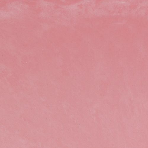 Artikel Plantebåd planteskål oval pink 27×11×10cm 3stk
