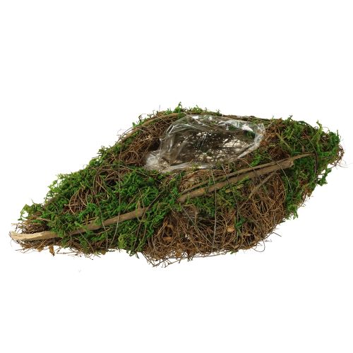 Plantning af bådranker og mosplantningsskål 31×17×6 cm