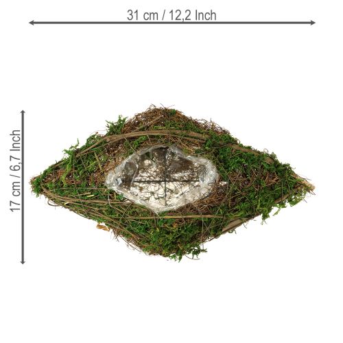 Artikel Plantning af bådranker og mosplantningsskål 31×17×6 cm