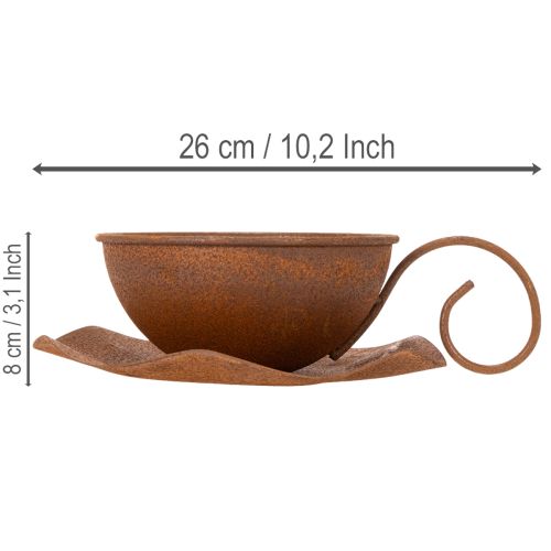 Plantekop med underkop, urtepotte, rust finish, Ø19,5 cm, H8 cm | Floristik24.dk
