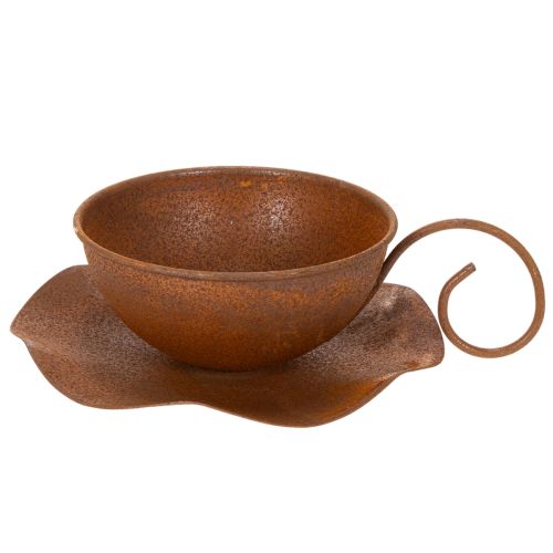 Plantekop med underkop, urtepotte, rust finish, Ø19,5 cm, H8 cm | Floristik24.dk