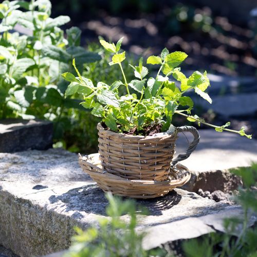 Artikel Plantekopkurv pil plantekrukke naturgrøn Ø18,5cm