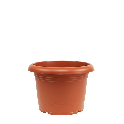 Floristik24 Plantepotte &quot;Oliver&quot; terracotta Ø15cm